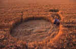 Green Street, Wiltshire crop circle, aerial photo 10