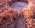 Green Street, Wiltshire crop circle, aerial photo 5