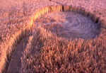 Green Street, Wiltshire crop circle, aerial photo 4