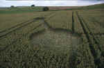 Avebury Avenue, Wiltshire crop circle, aerial photo 10