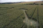 Avebury Avenue, Wiltshire crop circle, aerial photo 13