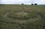 Avebury Avenue, Wiltshire crop circle, aerial photo 15