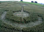 Avebury Avenue, Wiltshire crop circle, aerial photo 3