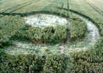 Avebury Avenue, Wiltshire crop circle, aerial photo 8