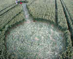 Avebury Avenue, Wiltshire crop circle, aerial photo 7