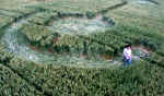 Avebury Avenue, Wiltshire crop circle, aerial photo 4