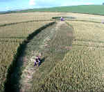 Avebury Avenue, Wiltshire crop circle, aerial photo 21
