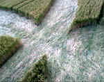 Avebury Avenue, Wiltshire crop circle, aerial photo 22