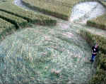 Avebury Avenue, Wiltshire crop circle, aerial photo 23