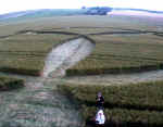 Avebury Avenue, Wiltshire crop circle, aerial photo 20