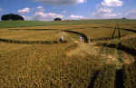 Avebury Avenue, Wiltshire crop circle, aerial photo 25