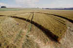 Avebury Avenue, Wiltshire crop circle, aerial photo 27