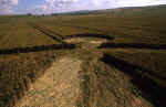 Avebury Avenue, Wiltshire crop circle, aerial photo 28