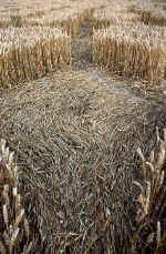 Green Street, Wiltshire crop circle, aerial photo 29