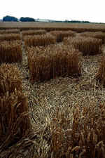 Green Street, Wiltshire crop circle, aerial photo 31