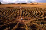 Green Street, Wiltshire crop circle, aerial photo 22