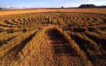 Green Street, Wiltshire crop circle, aerial photo 24