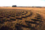 Green Street, Wiltshire crop circle, aerial photo 26