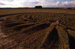 Green Street, Wiltshire crop circle, aerial photo 27