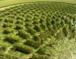 Green Street, Wiltshire crop circle, aerial photo 19