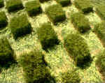 Green Street, Wiltshire crop circle, aerial photo 21