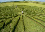 Green Street, Wiltshire crop circle, aerial photo 18