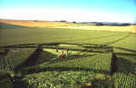 Bishop Cannings Down, Wiltshire crop circle, aerial photo 6