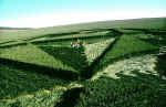 Bishop Cannings Down, Wiltshire crop circle, aerial photo 5