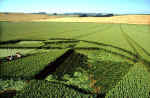 Bishop Cannings Down, Wiltshire crop circle, aerial photo 3