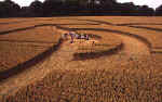 Bishop Cannings (2), Wiltshire crop circle, aerial photo 14
