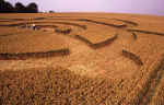 Bishop Cannings (2), Wiltshire crop circle, aerial photo 15