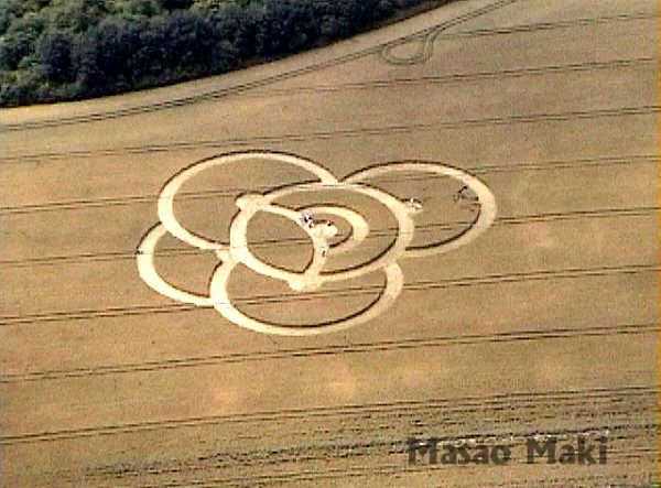 Bishop Cannings (2), Wiltshire crop circle, aerial photo 2
