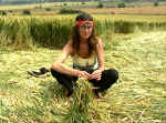 Bishop Cannings (2), Wiltshire crop circle, aerial photo 11