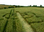 Blacklands, Wiltshire crop circle, aerial photo 3