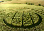 Blacklands, Wiltshire crop circle, aerial photo 8