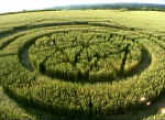 Blacklands, Wiltshire crop circle, aerial photo 9