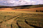Blacklands, Wiltshire crop circle, aerial photo 14