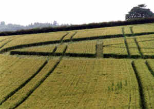 West Bretton, Yorkshire crop circle, aerial photo 4