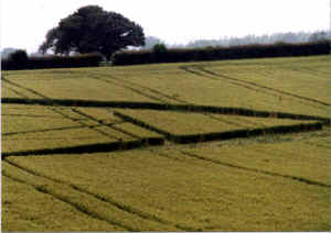 West Bretton, Yorkshire crop circle, aerial photo 5