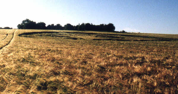 Bringhurst, Leicestershire crop circle, aerial photo 2