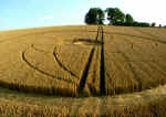 Broadbury Banks (2), Wiltshire crop circle, aerial photo 6