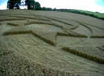 Broadbury Banks (2), Wiltshire crop circle, aerial photo 13