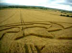 Broadbury Banks (2), Wiltshire crop circle, aerial photo 14