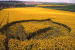 Cherhill, Wiltshire crop circle, aerial photo 4