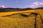 Cherhill, Wiltshire crop circle, aerial photo 3