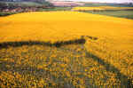 Cherhill, Wiltshire crop circle, aerial photo 5