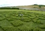 Cherhill Field, Wiltshire crop circle, aerial photo 6