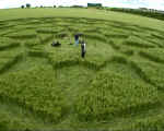 Cherhill Field, Wiltshire crop circle, aerial photo 5