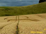 Cherhill White Horse, Wiltshire crop circle, aerial photo 3