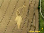 alien.jpg (53837 bytes)